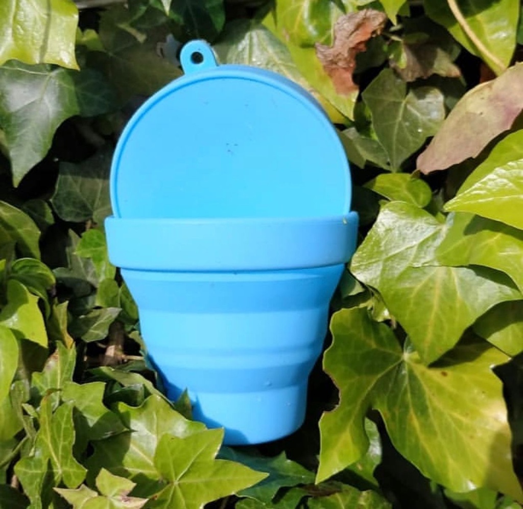 Vaso Esterilizador